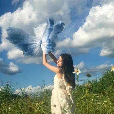 儿女英雄传